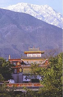 View in Dharamsala