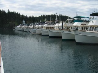Grand Banks, all lined up...
