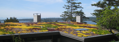 The flowers & plants on the roof....