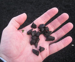 Some of last fall's crumb rubber... I washed my hands right after the shot.