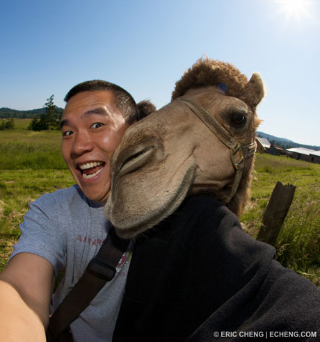 Eric says in his blog: "I’ll always remember Mona as the first camel to rest her head on my shoulder…"