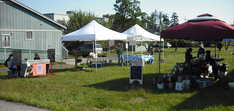 Setting up for last Wednesday's Market....