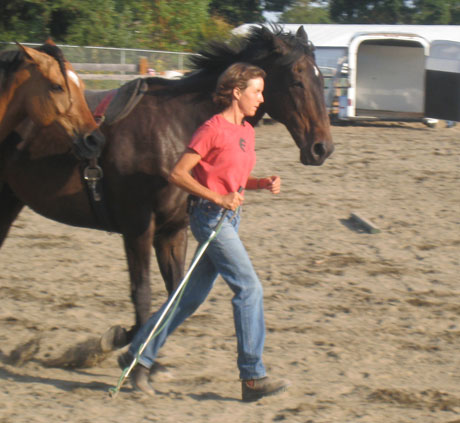 Sus Kellogg is one of the leaders on the island with Natural Horsemanship - that's her at last year's County Fair....