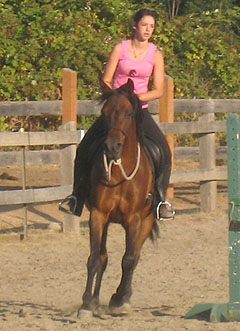 The natural horsemanship exhibition (that's Megan, last year) is one of the highlights of the week....