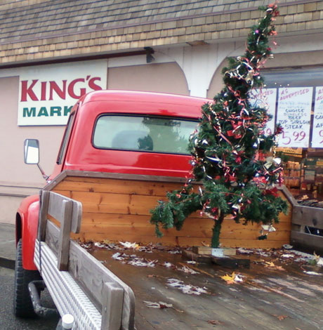 hristmas is bustin' out all over....Mary from Kings MArket saw this tree in a truck & sent the pciture in....tahnks, Mary!