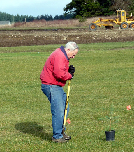 Friday Harbor Grange member Al Commins digging holes for the trees - Jim Knych photo