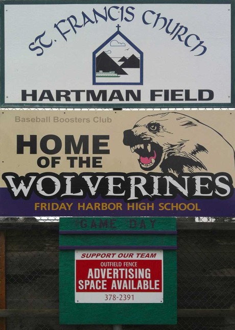 Advertise your business locally and support Wolverine Baseball!