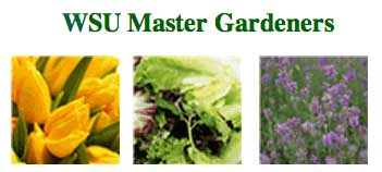 master-gardeners