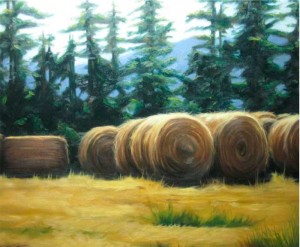 rolled-hay-bales