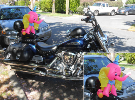 Caught this last week - someone put this blownup elephant on this tough guy's motorcycle while he was getting a cuppa at Starbuck's....fun to watch everyone in the place watch him go back to his bike....