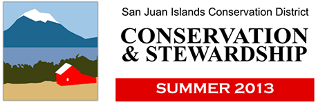 SJI-conservation-logo