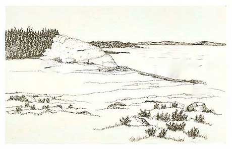 prairie-drawing
