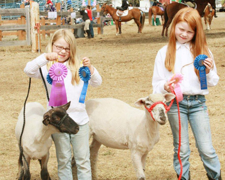 Stella & Lucy Tarte show off the ribbons they got with their sheep Night & Day...photo by Cere Demuth.