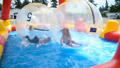 Kids playing like hamsters in the giant, water-ball things