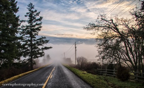 "Vanishing Point", Bailer Hill fog by Chris Teren