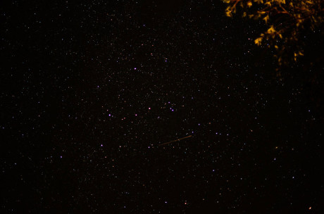 Night sky with meteor - Tim Dustrude photo