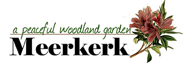 meerkerk-logo