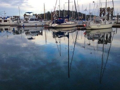 Boats moored at the Port of Friday Harbor Marina - Update file photo 