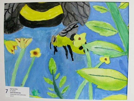 Watercolor: "Giant Bumble Bee" by Clarissa Felix, Friday Harbor Elementary School