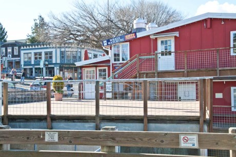 This is where you'll see "Pizza on the Dock", starting this weekend - Click to enlarge - J.K. Fox photo