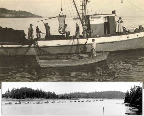 Fishing boats in Friday Harbor - Click to enlarge - SJ Historical Museum photo