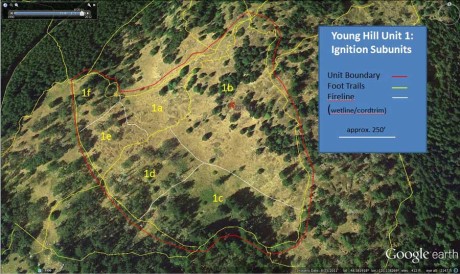 Satellite view of Young Hill showing burn area - Click to enlarge