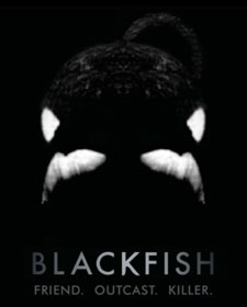 TWM-blackfish-flyer