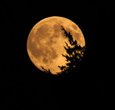 Super Moon over Roche Harbor - Sherrie Stahl photo 