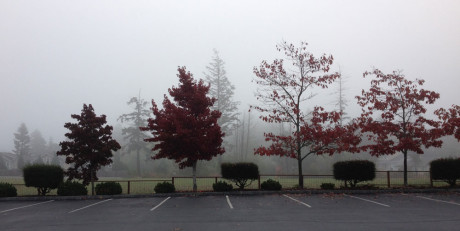 Foggy Parking Lot and Field - Louise Dustrude photo