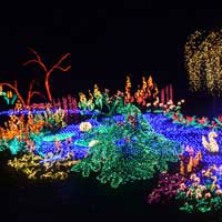 Garden of d'Lights at the Bellevue Botanical Gardens - Contributed Photo