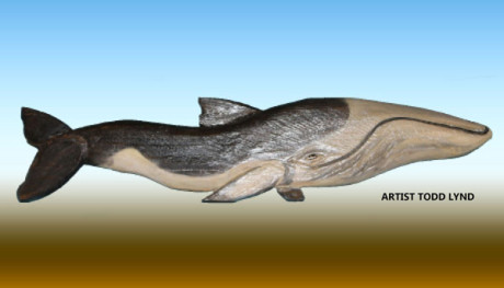 Minke-whale-carving