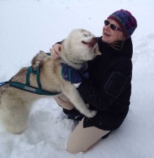Kathryn Hansen plays in the snow with an Iditarod Sled Dog - Contributed photo