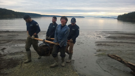 Crews remove creosote logs from local beaches - Contributed photo