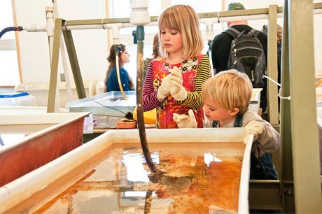 Kids enjoying some hands-on activities at the FHL Open House - Contributed photo