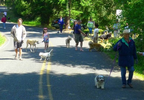 The 2nd Annual Dodie Gann Dog Walk - Contributed photo