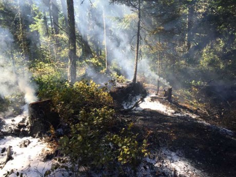 Fire at Turtleback Mountain Preserve - Contributed photo