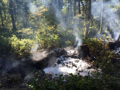 Fire at Turtleback Mountain Preserve - Contributed photo