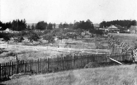 The Robert Firth farm at American Camp near the turn of the 19th/20th centuries. Firth was the last Hudson's Bay Company agent at Belle Vue Sheep Farm and chose to remain on the island when The Company pulled out in 1864 - Contributed photo