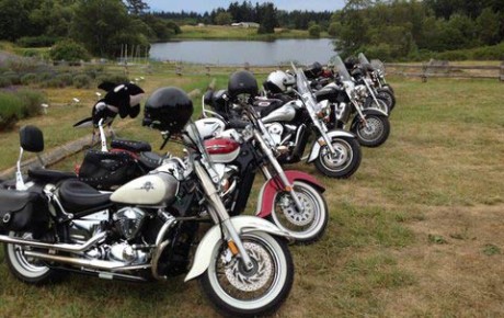 Bikes lined up at Pelindaba Lavender Farm - Ted Schlund photo