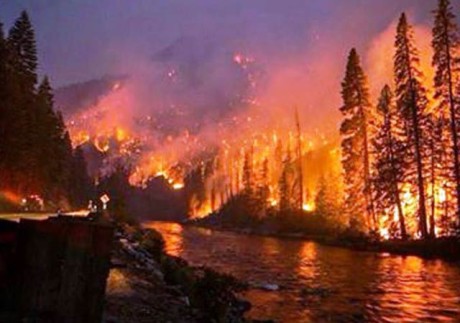 Washington State forest fire - Contributed photo
