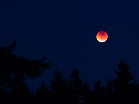 Blood Moon - Kevin Holmes photo 