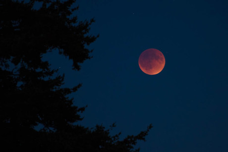 Blood Moon, lunar Eclipse, September 27, 2015 - Tim Dustrude photo