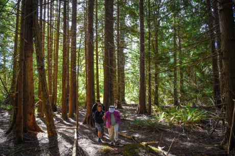 The Cedar Grove Trail at Mitchell Hill - Tim Dustrude photo