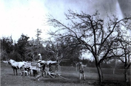 Historic Orchards - Contributed photo