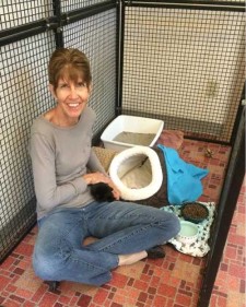 Animal Shelter Volunteer, Nancy Heacox, taking a break to cuddle kittens - Contributed photo