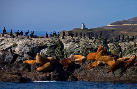 Cattle Point Lighthouse - Jim Maya photo