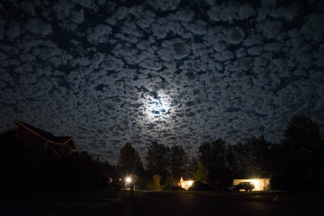 Moonlit Clouds - This is what the sky looked like on our quiet street last night - Tim Dustrude photo