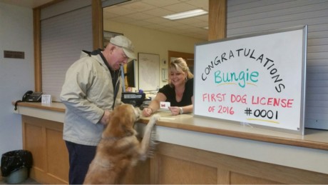 Bungie receives the first Dog License for 2016 - Contributed photo
