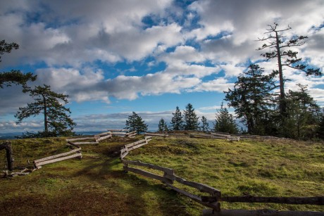 The view toward Friday Harbor from Mount Grant - Tim Dustrude photo