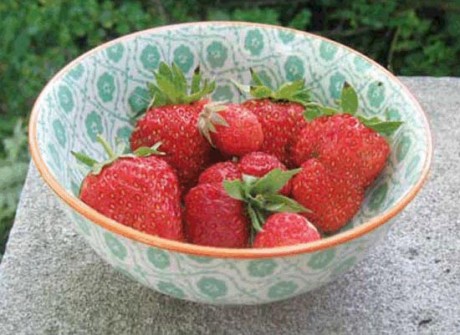 A bowl of Marshall Strawberries - Contributed photo